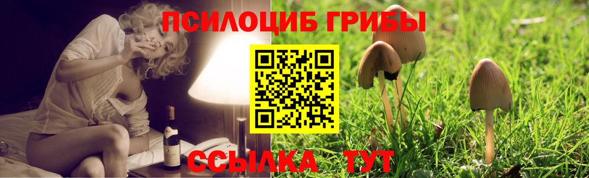 Псилоцибиновые грибы Cubensis  Вход с VPN  Шадринск 