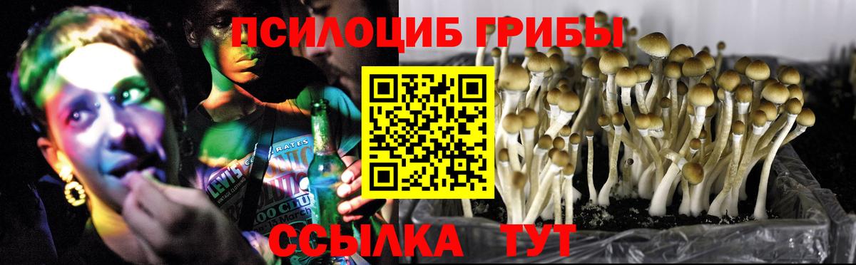 Галлюциногенные грибы Cubensis Шадринск